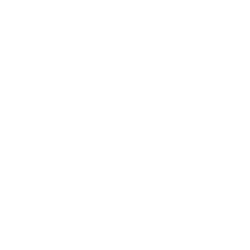 ALC logo