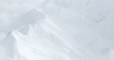 DNLI logo