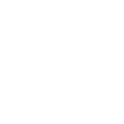 IOT logo