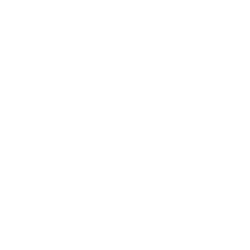 UAA logo